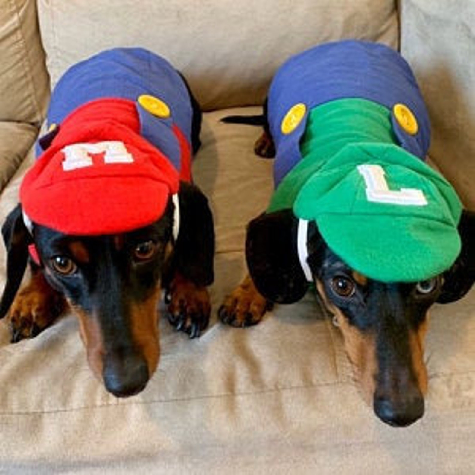 Luigi Costume for Dogs Beautiful Luigi Dog Costume Mario Kart Costume Halloween Dog Costume Etsy