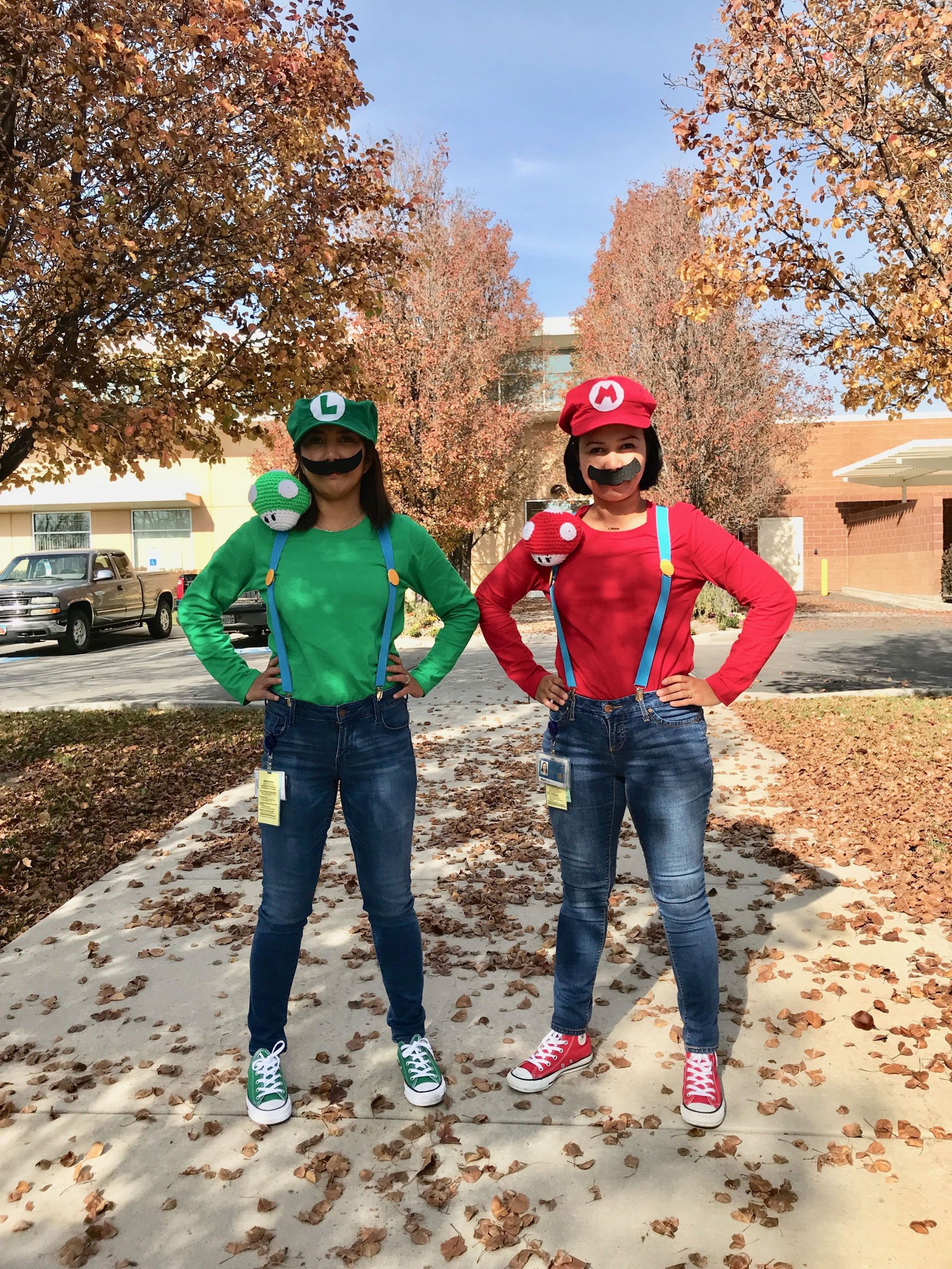 Mario and Luigi Halloween Costumes Awesome Mario and Luigi Costume