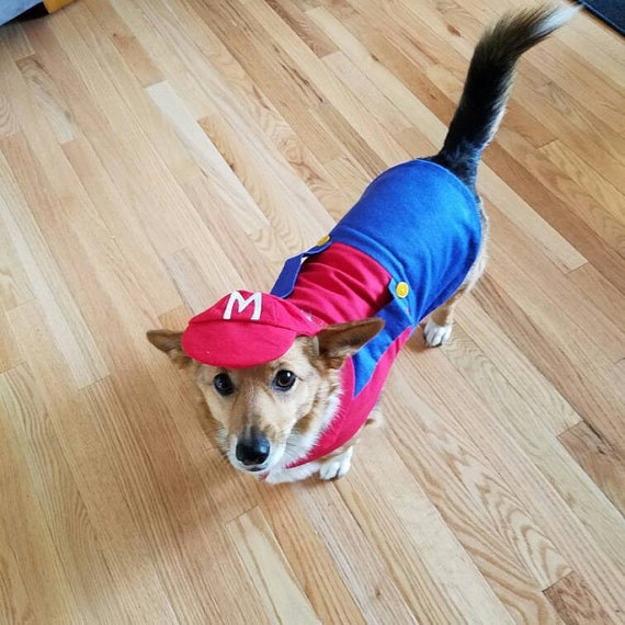 Mario Dog Costume Unique Mario Dog Costume