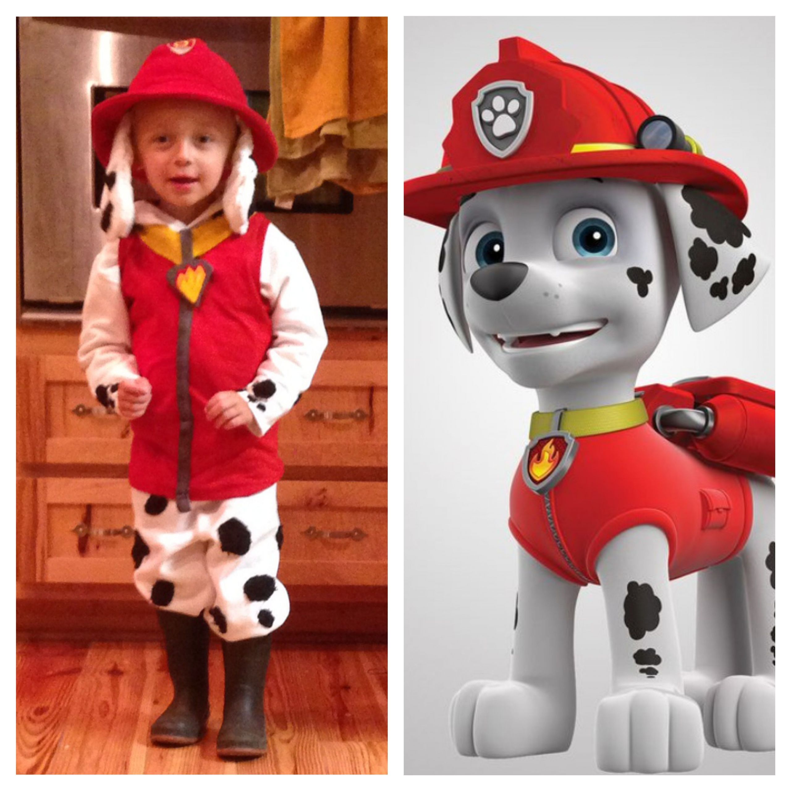 Marshall Halloween Costume New Marshall From Paw Patrol Halloween Costume