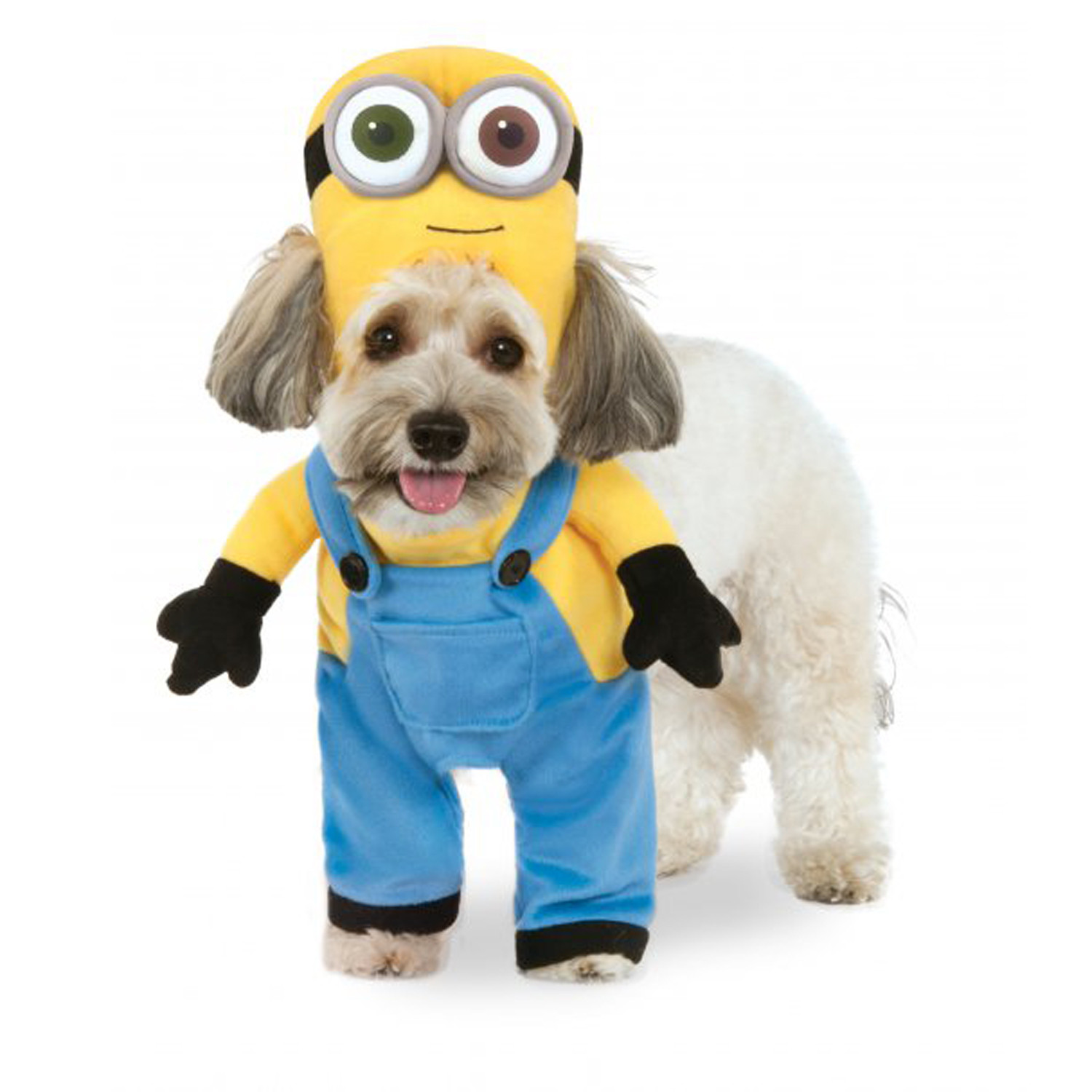 Minion Dog Halloween Costume Lovely Walking Minion Dog Costume Bob