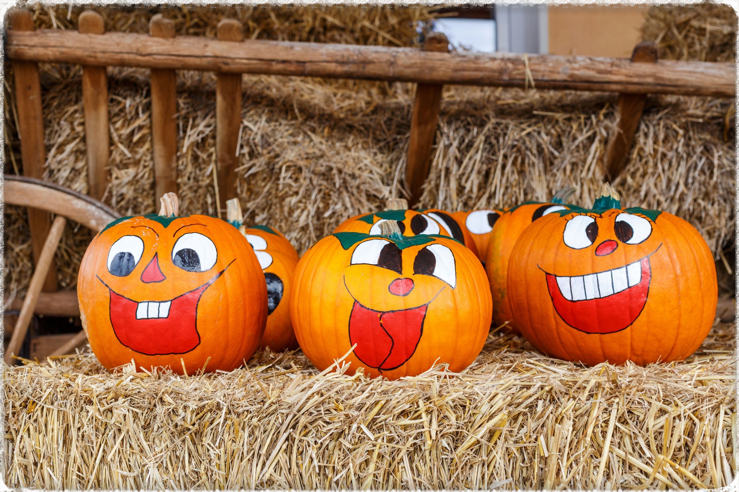 No Carve Pumpkin Decorating Ideas Fresh 7 No Carve Pumpkin Decorating Ideas