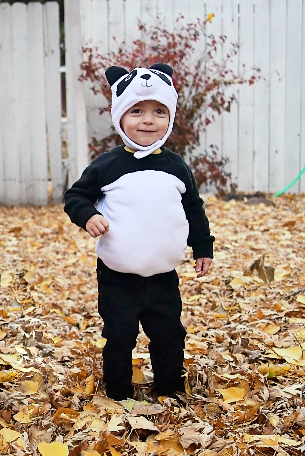 Panda Costume Diy Luxury Diy Panda Costume