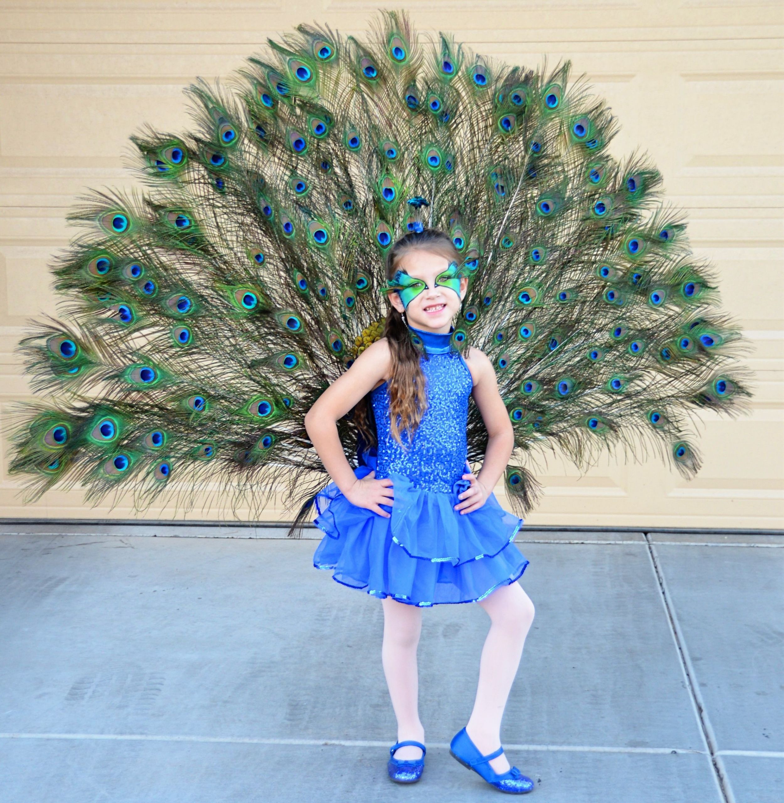 Peacock Halloween Costume Unique Pretty Peacock Instructions to Make Your Own are Here Ideas