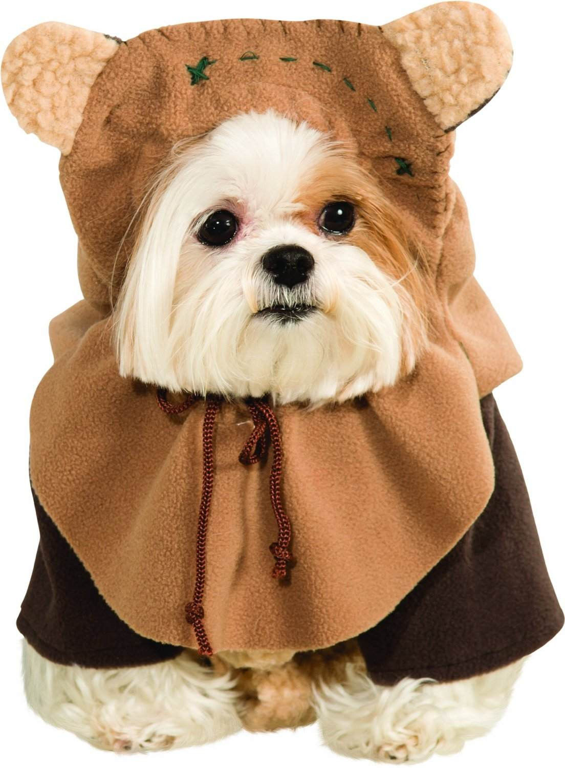 Pet Halloween Costumes Unique 20 Halloween Costumes for Dogs &amp; Cats Halloween Pets