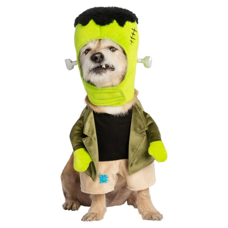 Petsmart Halloween Costumes Fresh Petsmart S Latest Pet Halloween Costume Collection is Out and It S Adorable