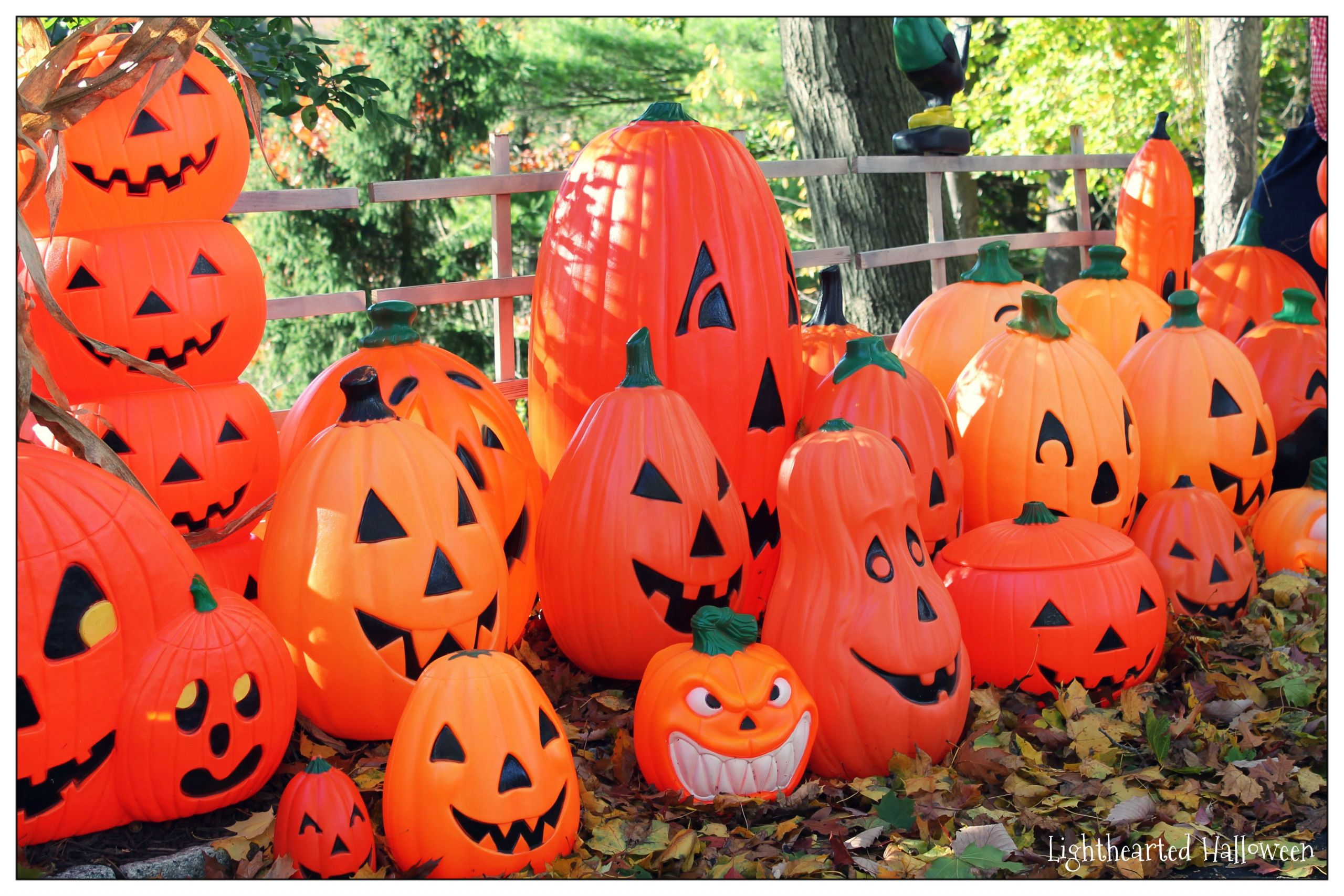 Plastic Carved Pumpkins Elegant A Funky Collection Of Plastic Pumpkins