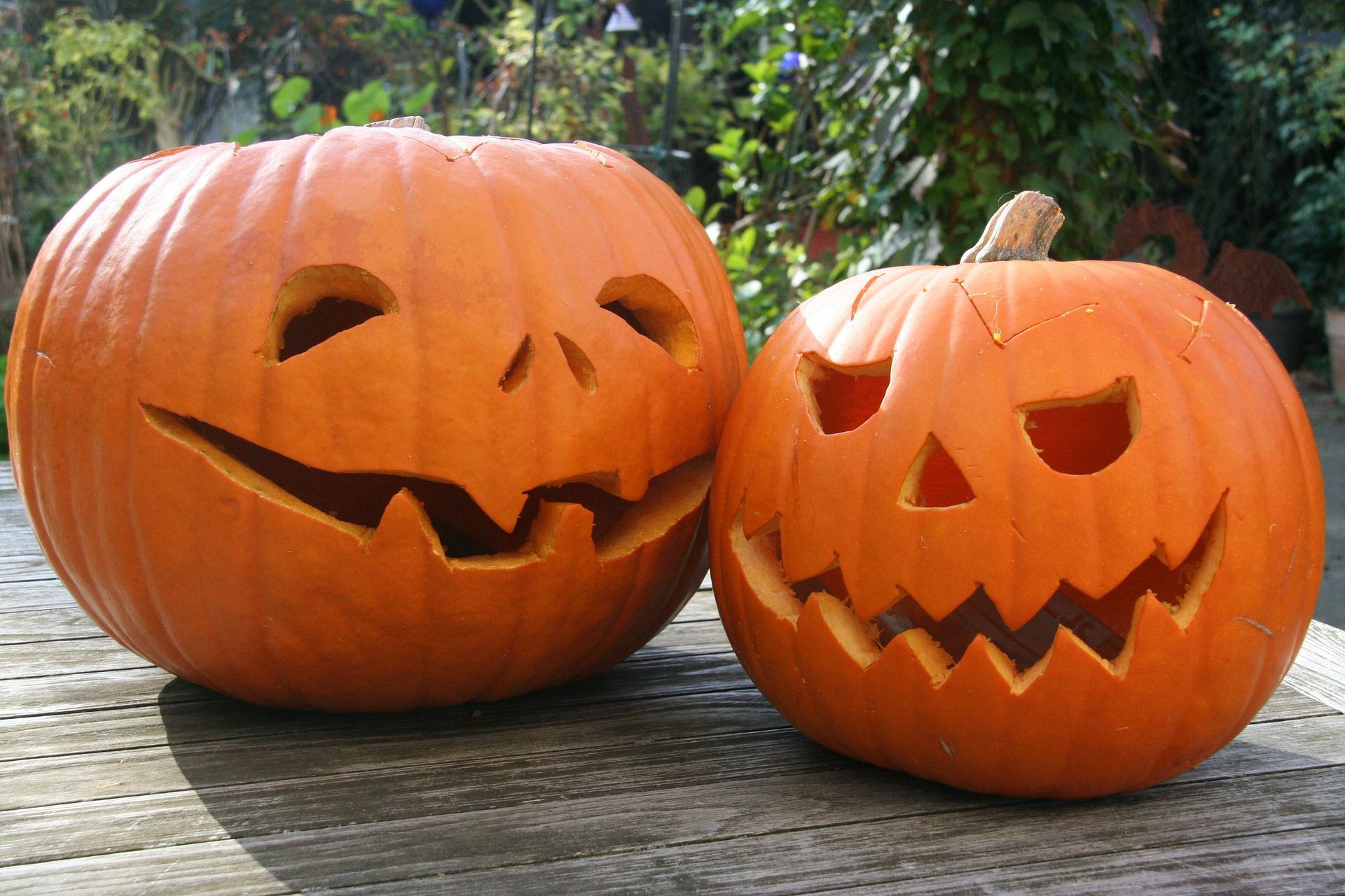 Pumpkin Cut Ideas Beautiful Free Pumpkin Carving Patterns