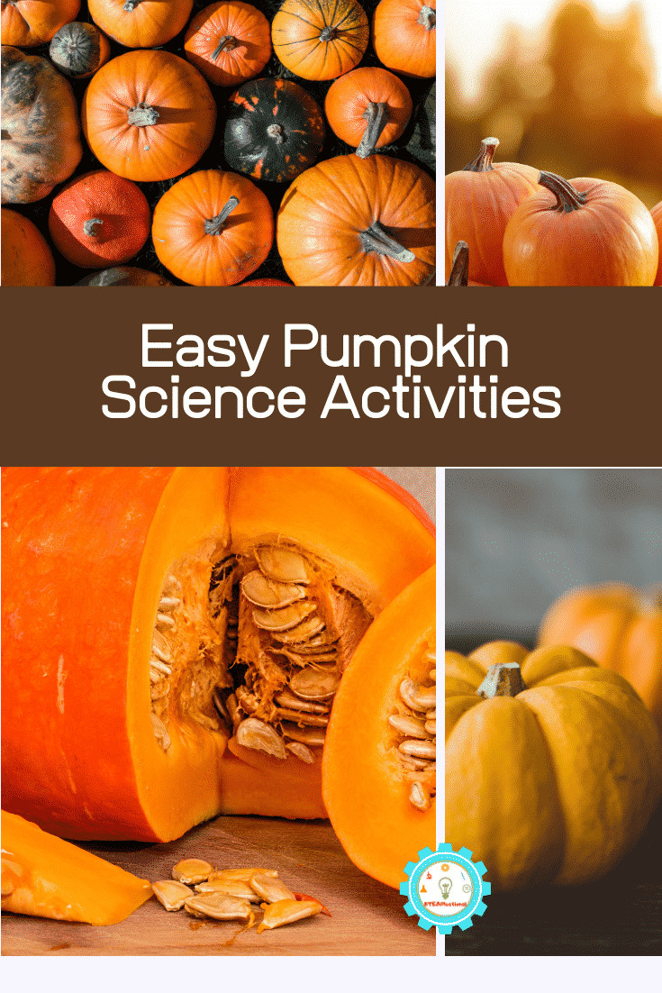 Pumpkin Science Experiments Best Of 10 Pumpkin Science Experiments for Elementary Kids