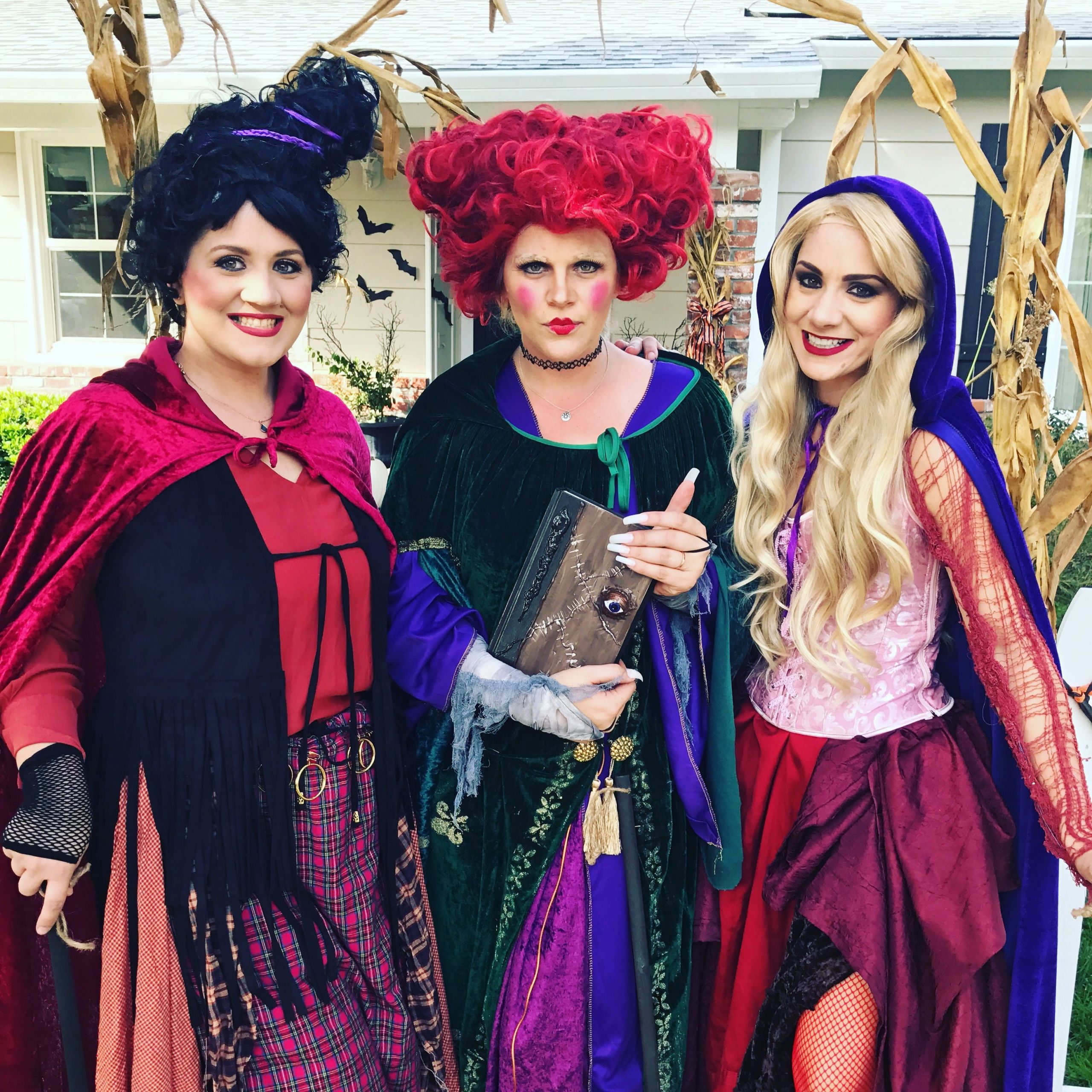 Sanderson Sisters Halloween Costumes Lovely Sanderson Sisters Hocus Pocus Costumes Sandersonsisters