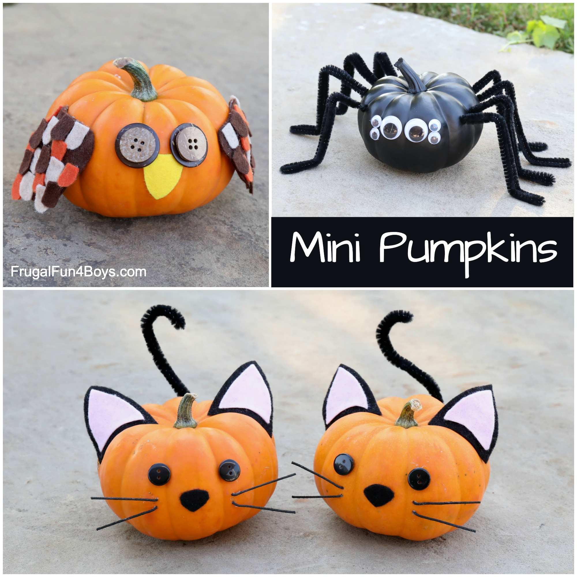 Simple Pumpkin Decorating Ideas Best Of Easy Pumpkin Decorating Ideas Frugal Fun for Boys and Girls