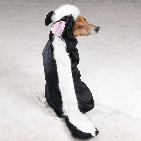 Skunk Halloween Costume Dog Elegant Lil Stinker Skunk Dog Halloween Costume