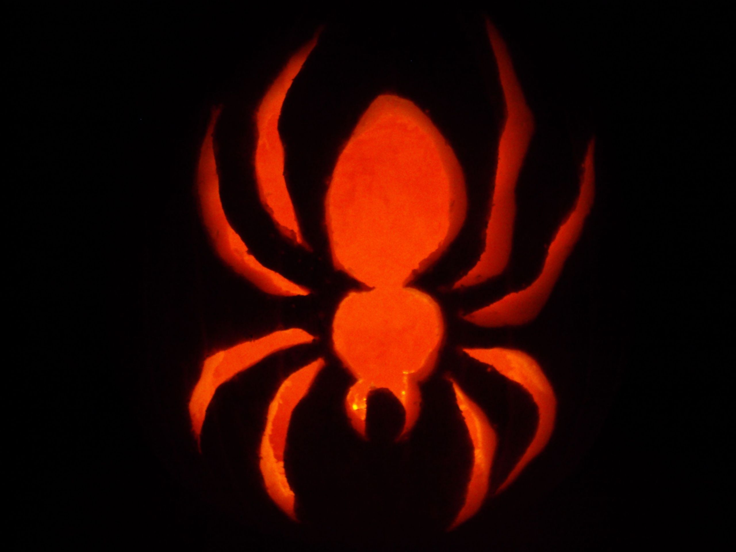 Spider Jack O Lantern Luxury Spider Jack O Lantern Carved by Me From the Pumpkin Masters Pattern