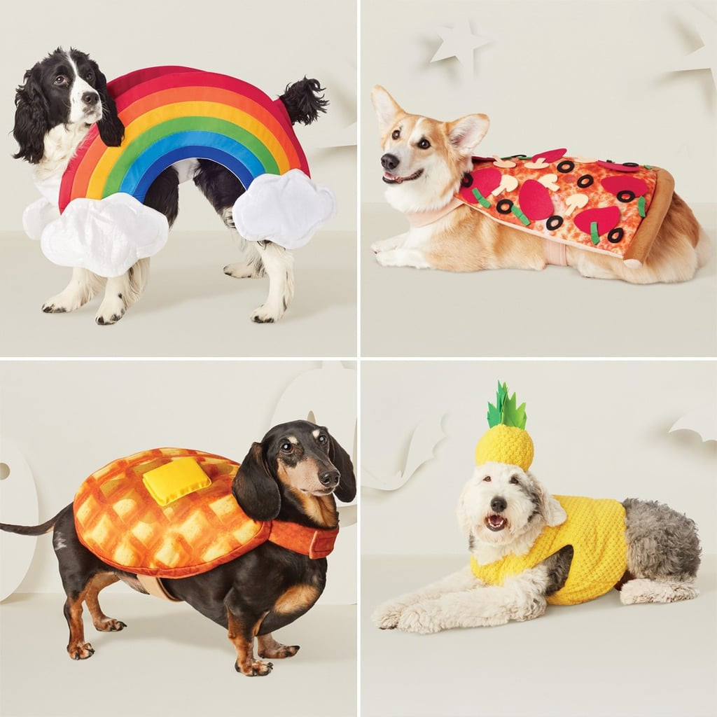 Target Dog Halloween Costumes Inspirational Best Tar Pet Halloween Costumes 2018