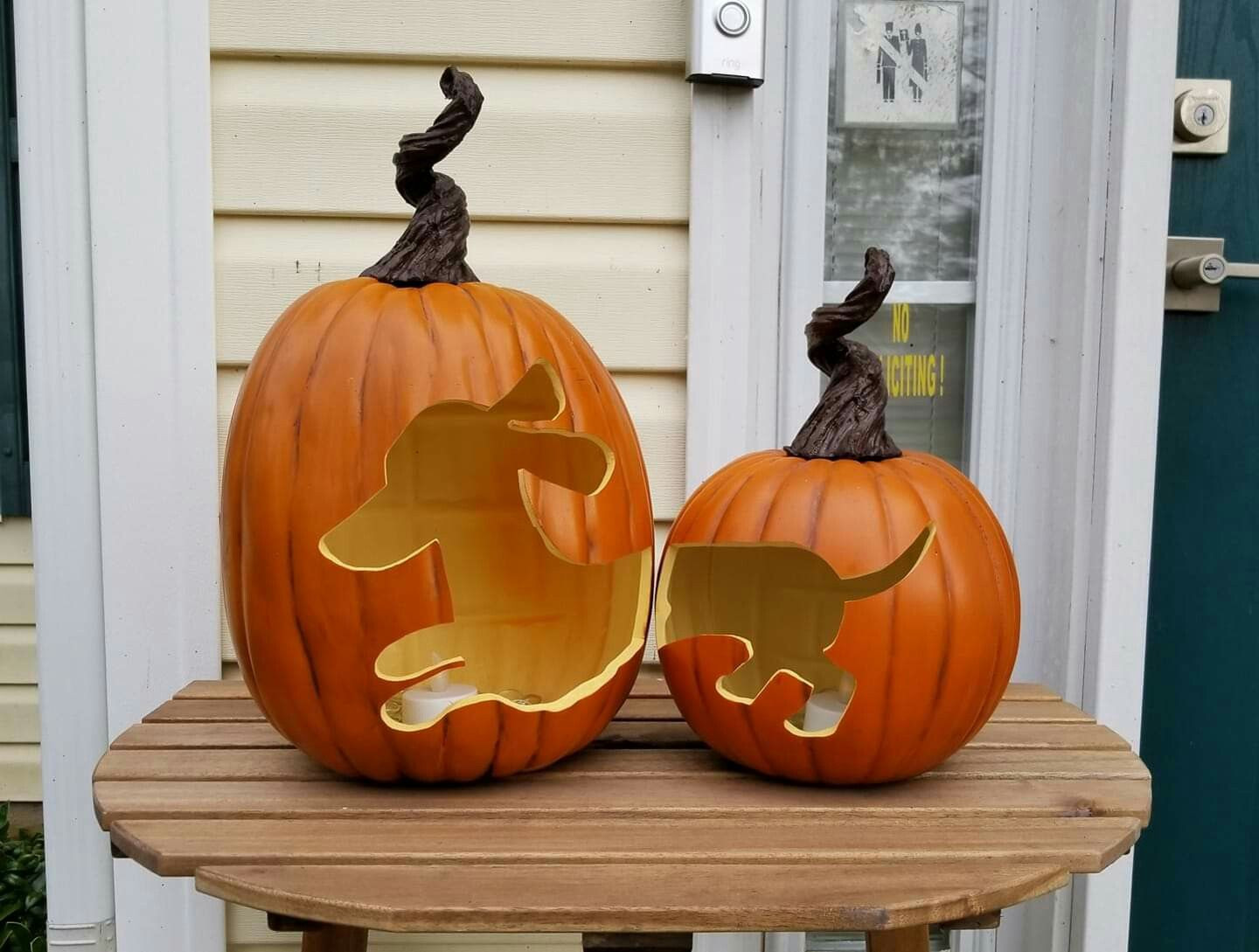 Weiner Dog Pumpkin Fresh Weiner Dog Halloween Pumpkin