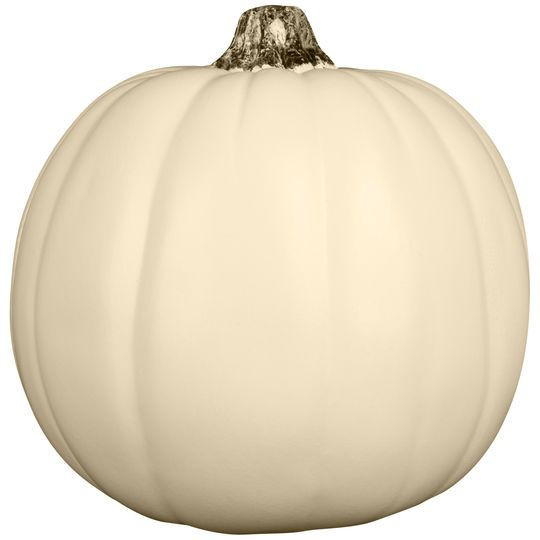 White Craft Pumpkins Elegant White Craft Pumpkin Whitepumpkin Smallpumpkin Craftpumpkin Craft