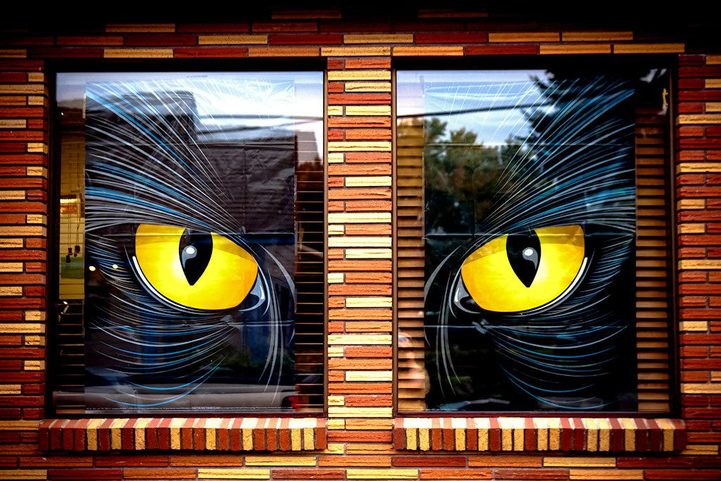 Window Halloween Eyes Unique Eye See U