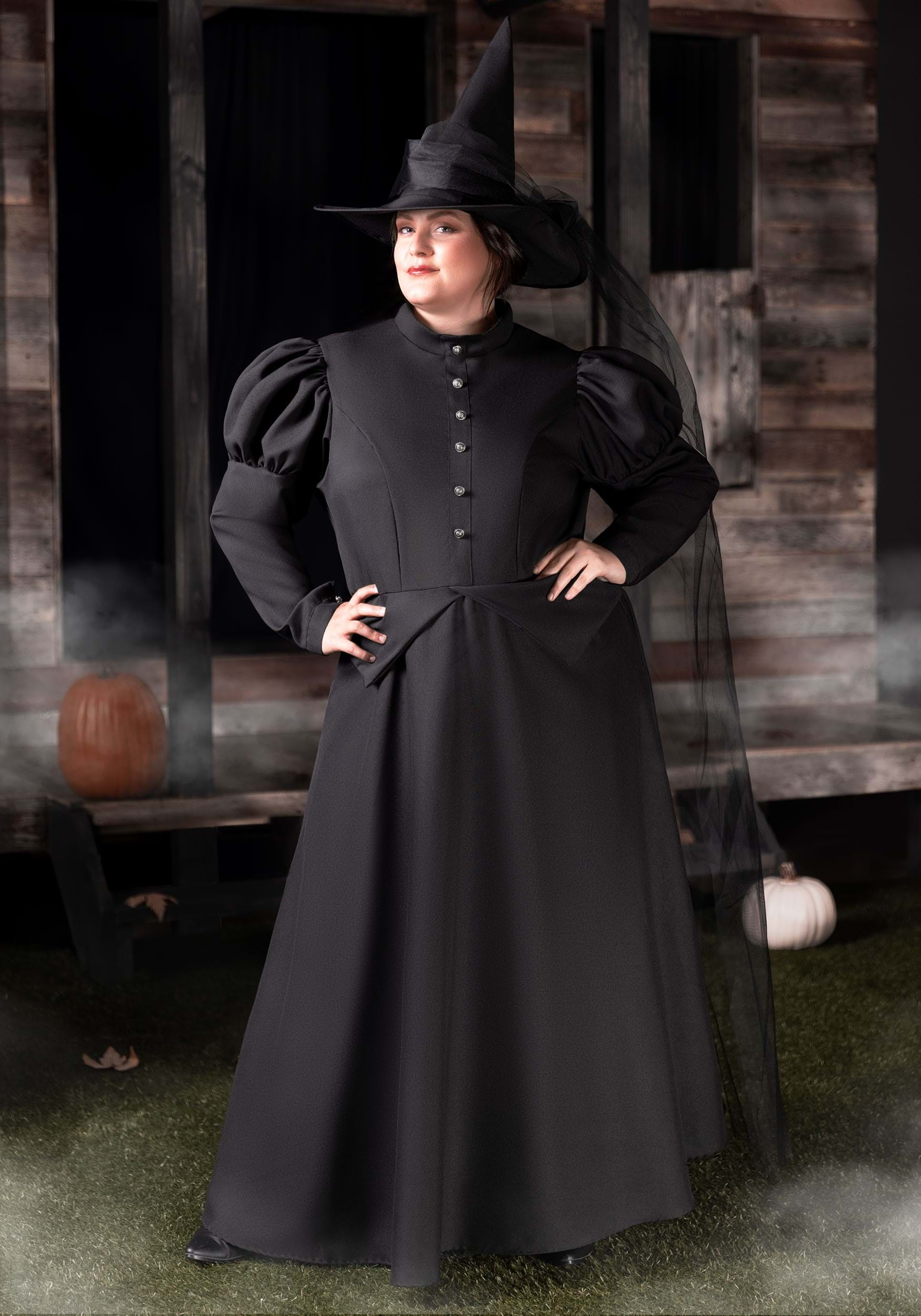 Witch Dress Costume Fresh Women S Plus Size Witch Costume Dress