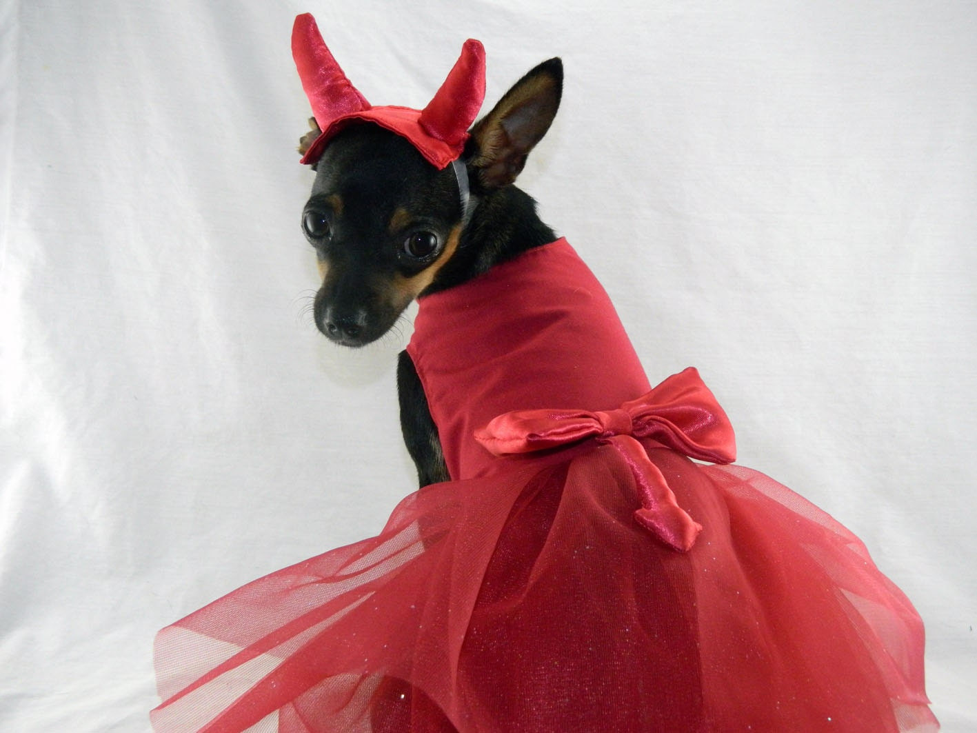 Xxs Dog Halloween Costumes Elegant Little Devil Dog Costume Dress with Horn Headband Xxs M