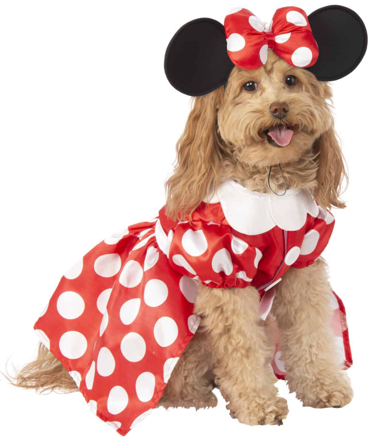 Xxxl Dog Halloween Costume Elegant Xxl &amp; Xxxl Dog Costumes Pet Costume Center