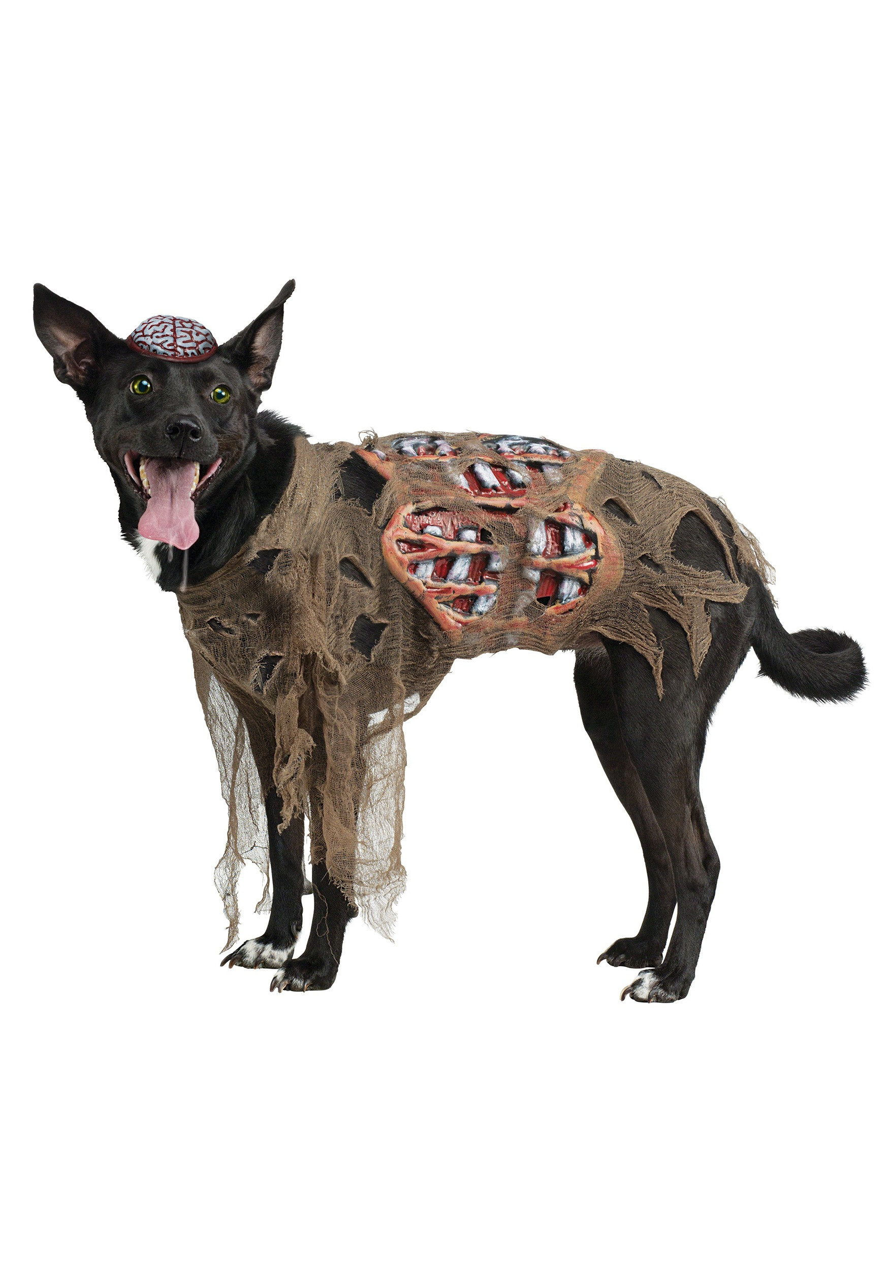 Zombie Dog Costume Lovely Zombie Dog Costume