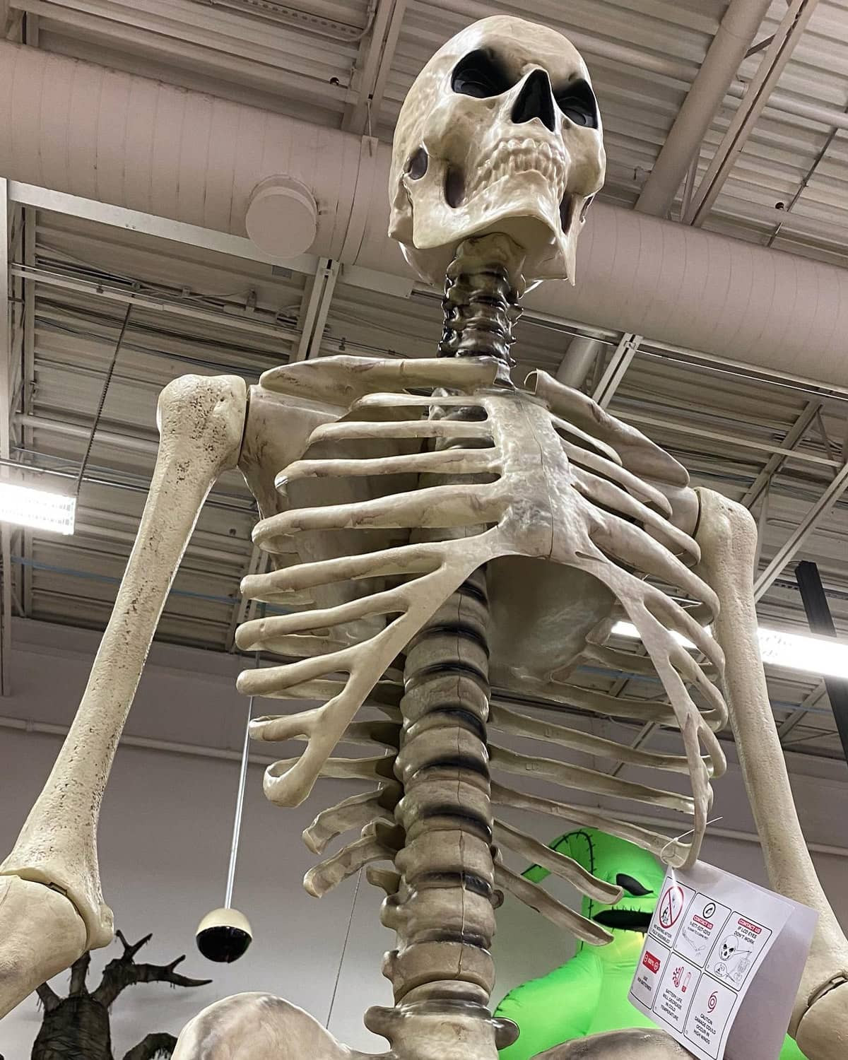 12 Foot Giant Skeleton Luxury Terrifying 12 Foot Tall Giant Skeleton with Animated Lcd Eyes