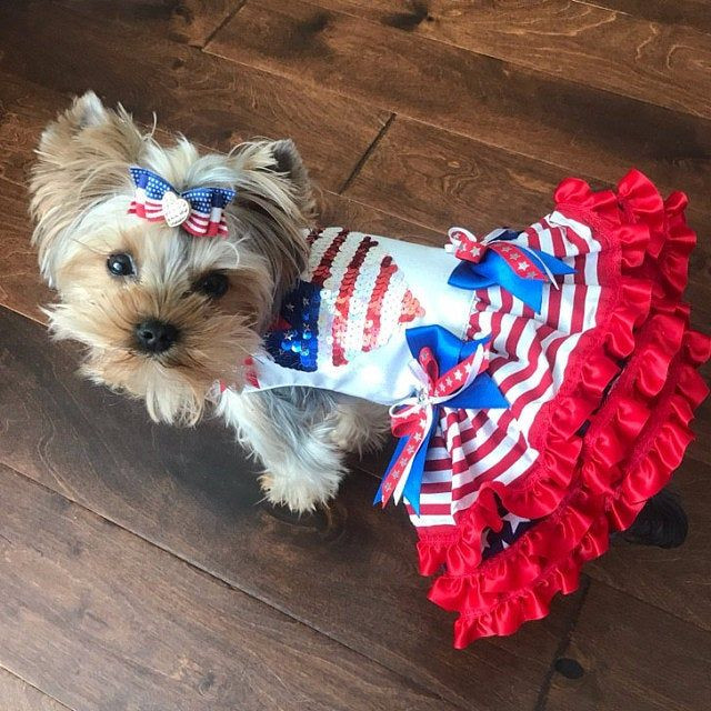 4th Of July Dog Dress Unique 4th Of July Dog Dress Patriotic Independence Day Day Red White