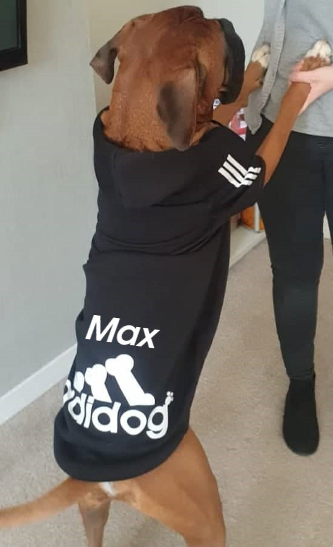 Adidas Dog Apparel Lovely Personalised Adidog Pet Adidog Adidas Style Dog Hoo