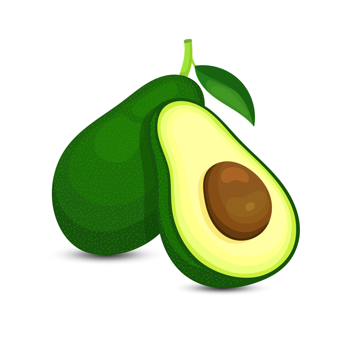 Avocado Clip Art Lovely Avocado Illustration Vector Art at Vecteezy