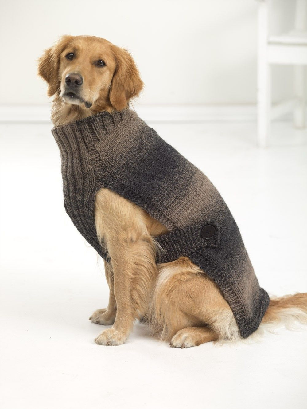 Big Dog Jumpers Elegant Hunter S Urban Dog Sweater Knit