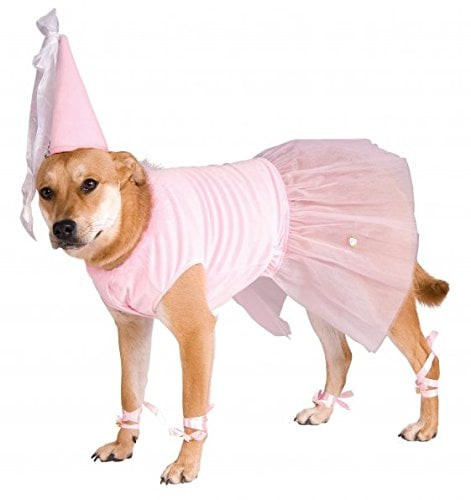 Big Dogs In Clothes Best Of 10 Best Dog Clothes for Dogs because they Deserve to Dress Up