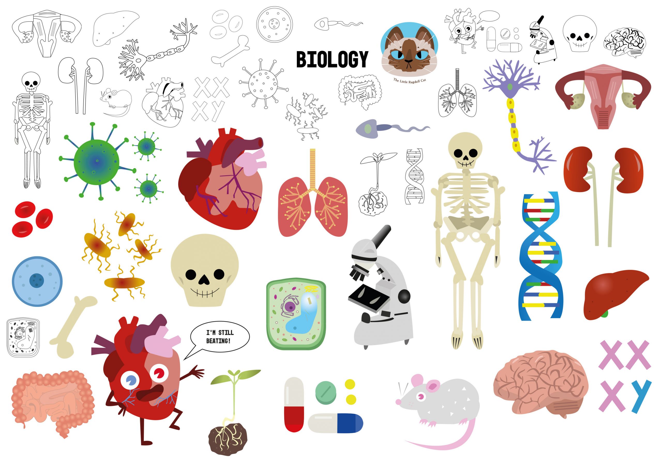 Biology Clip Art Inspirational Biology Science Clip Art