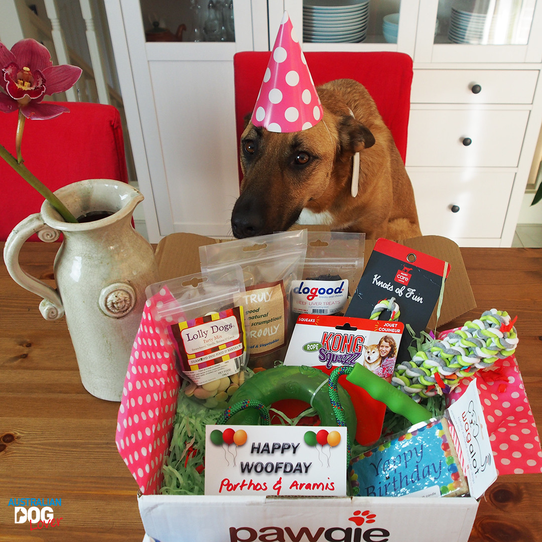 Birthday Stuff for Dogs Beautiful Pawgie Birthday Gift Box for Dogs