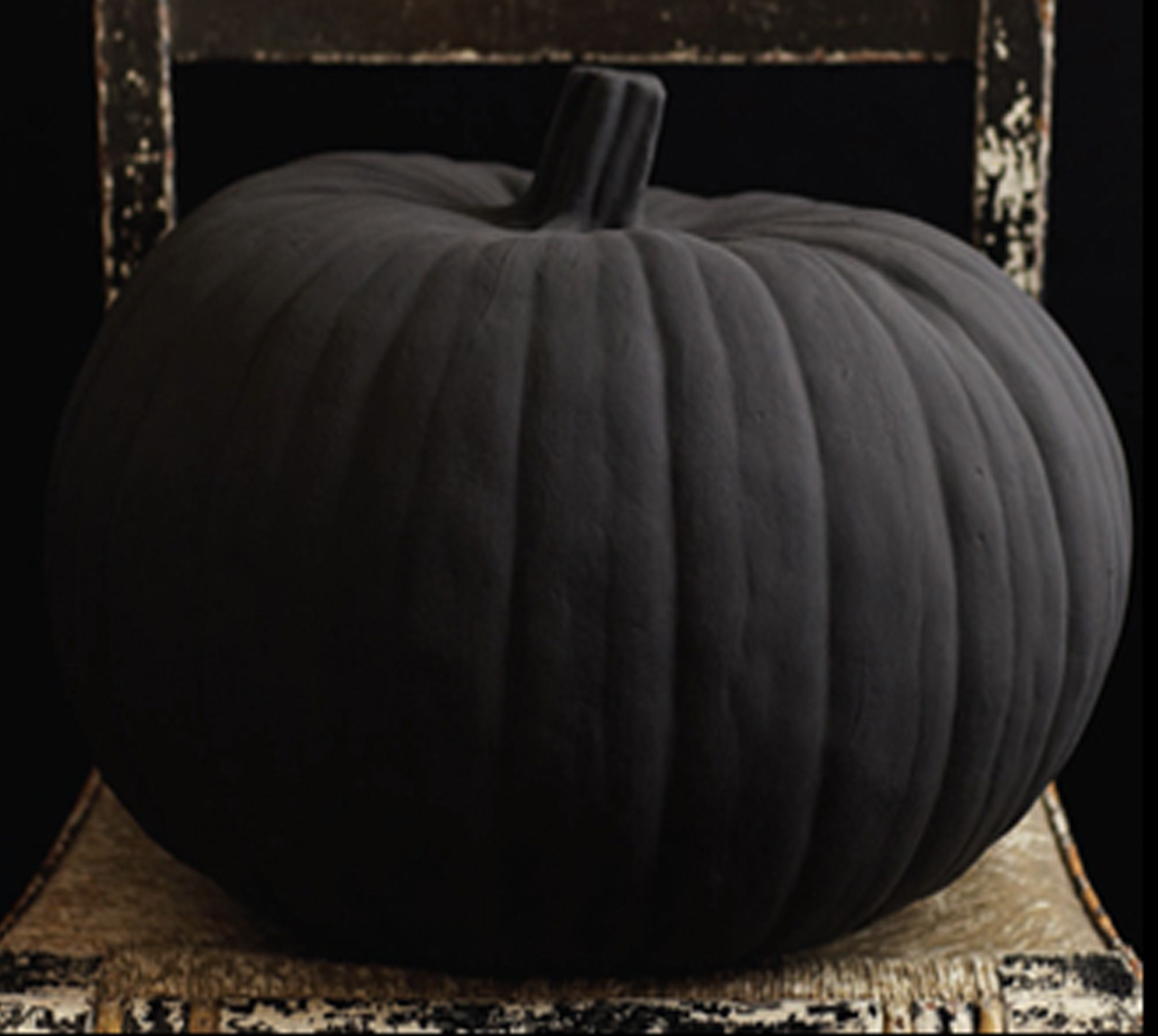 Black Pumpkin Decor Lovely Pin by Mary Kay Mcginty On Black is Black