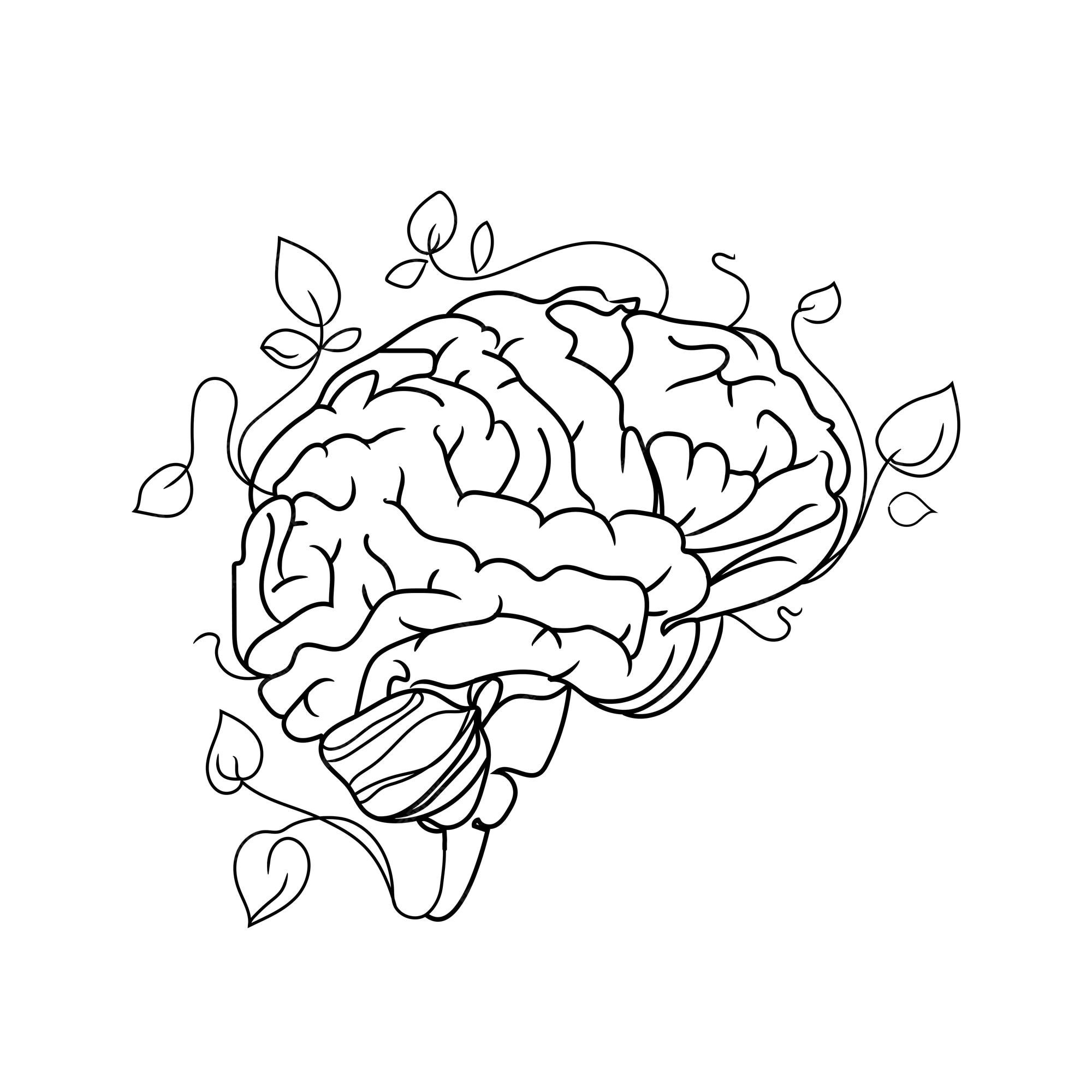 Brain Line Art Best Of Premium Vector