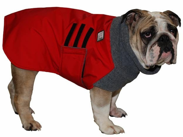 Bulldog Winter Coat Fresh English Bulldog Winter Coat Winter Coat Dog by Voyagersk9apparel