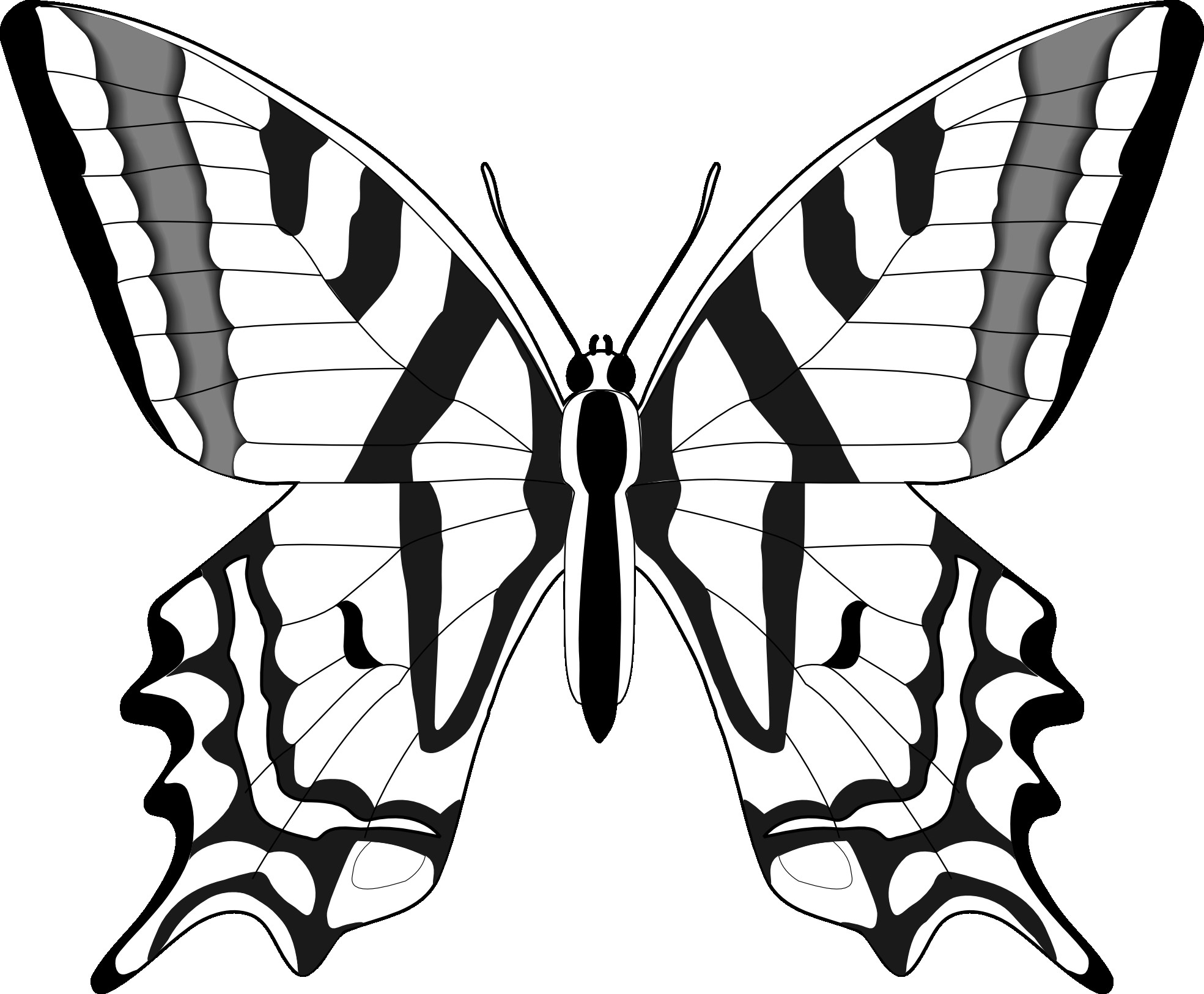 Butterfly Black and White Clipart Beautiful Free butterfly Clipart Black and White Download Free butterfly Clipart