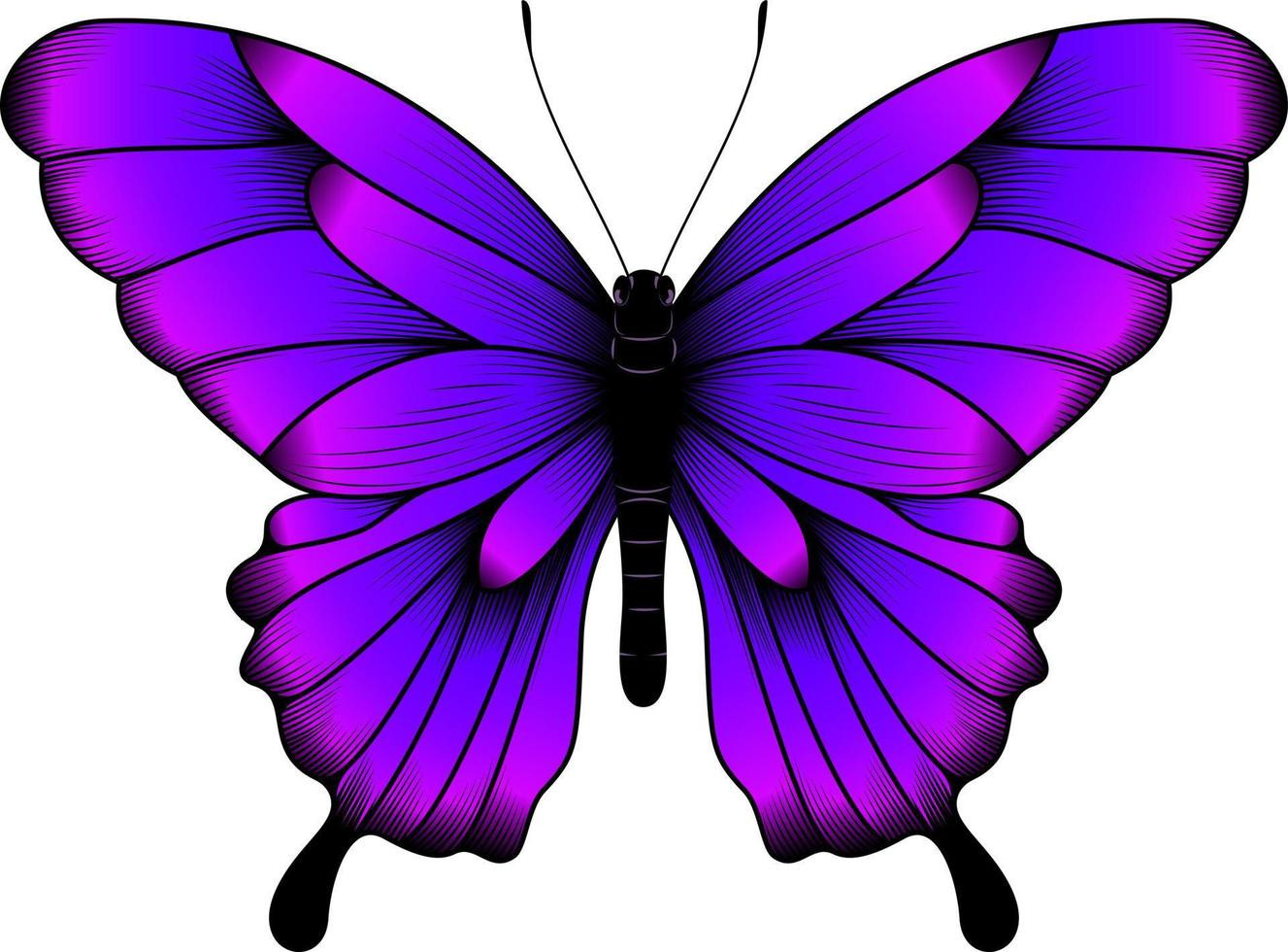 Butterfly Vector Images Luxury Tropical Purple butterfly Illustration Beautiful butterfly Vector