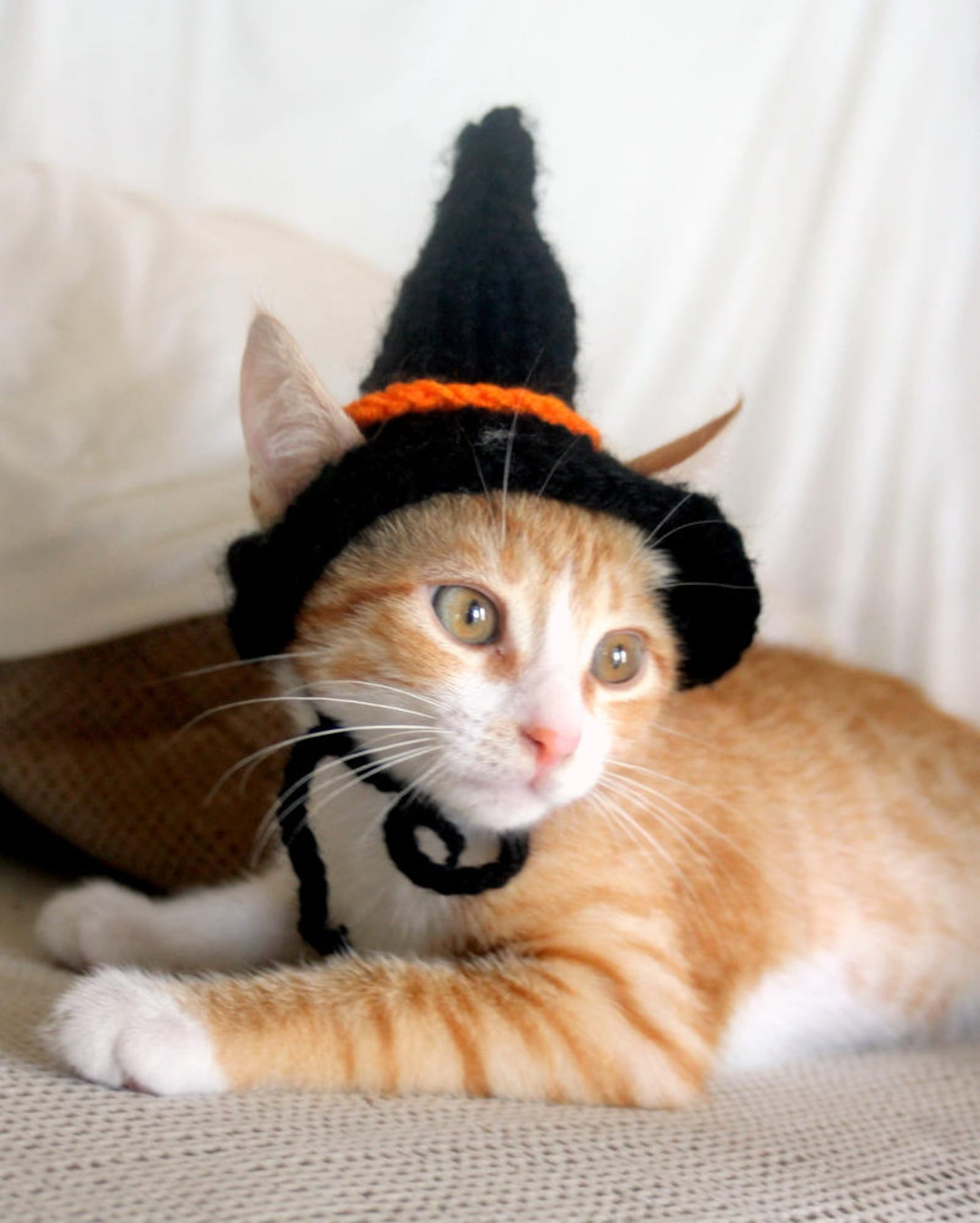 Cat Halloween Hat Beautiful Witch Cat Hat Witch Hat for Cats Halloween Cat Costume