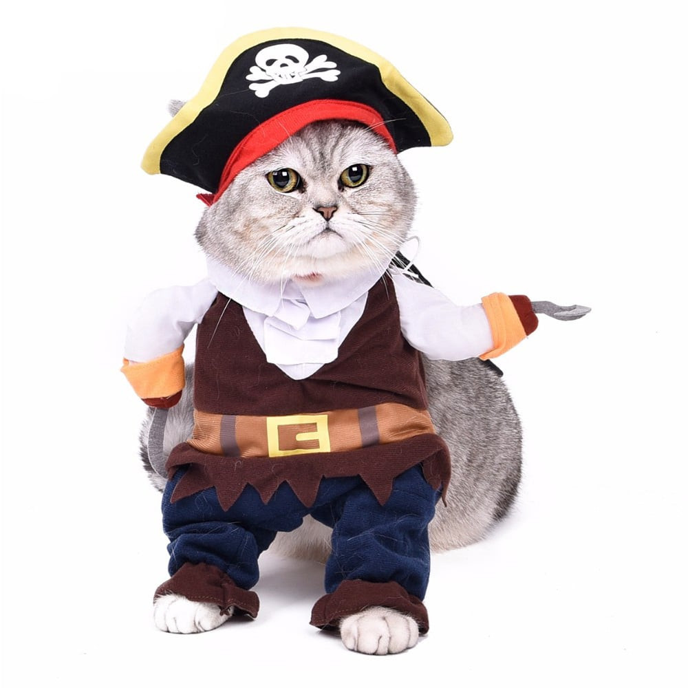 Cat Pirate Outfit Luxury Pirate Cat Costume Best Cat Costumes for Halloween 2020