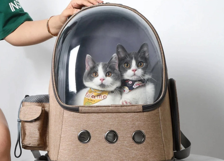 Cat Travel Accessories New 17 Genius Pet Travel Accessories for Cats and Dogs Purewow