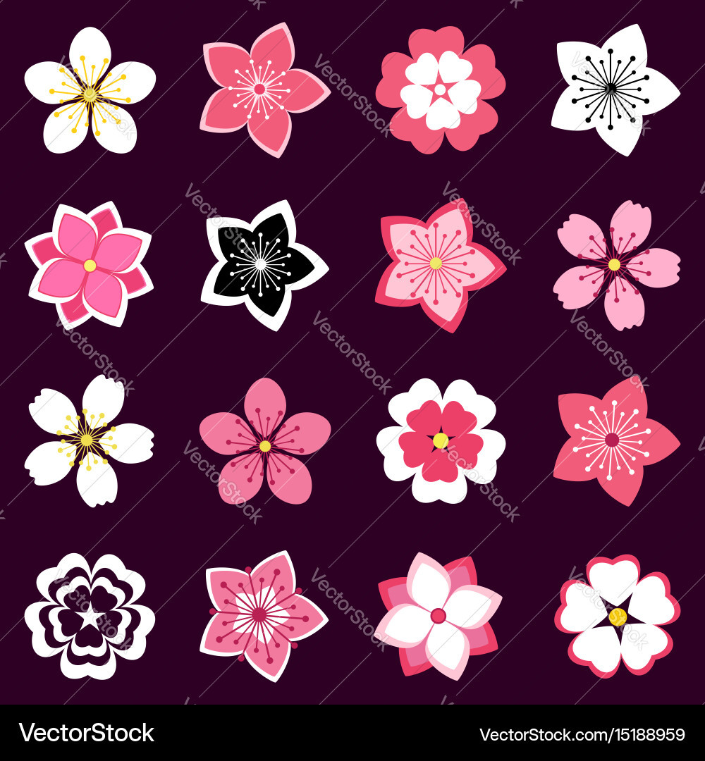 Cherry Blossoms Icon New Set Of Cherry Blossom Flowers Icons Royalty Free Vector