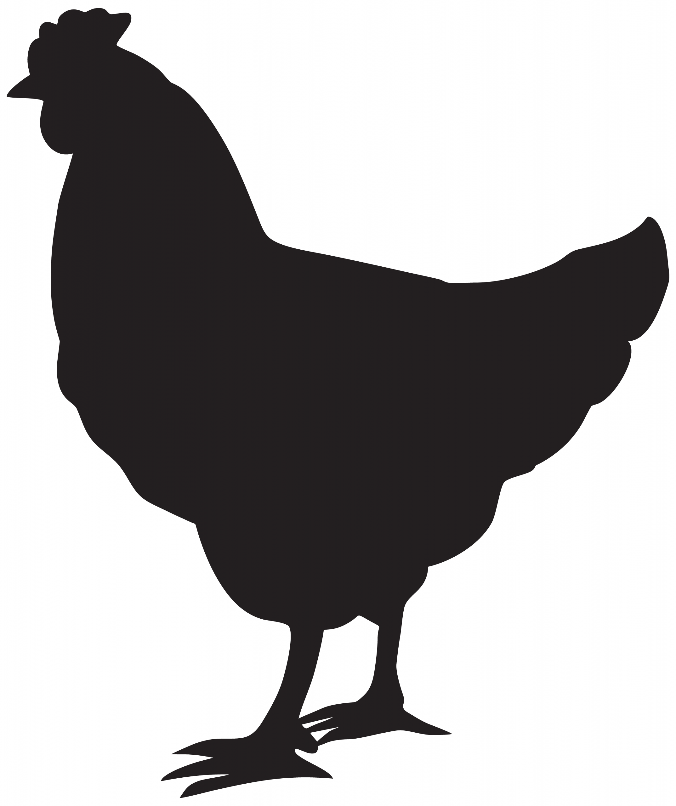 Chicken Silhouette Clipart Beautiful Chicken Silhouette Clipart