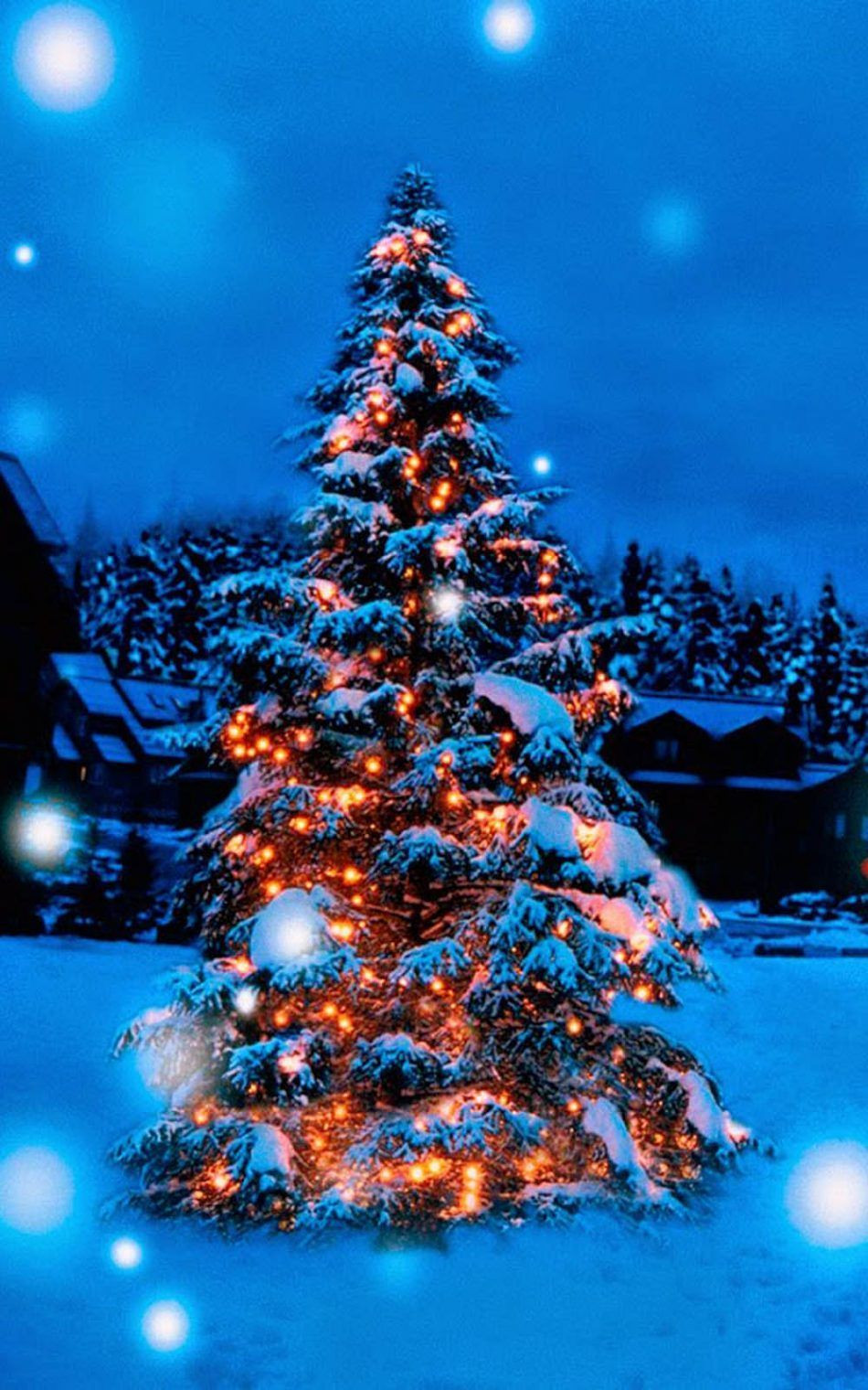 Christmas Tree Phone Wallpaper Beautiful Phone Christmas Tree Wallpapers Wallpaper Cave