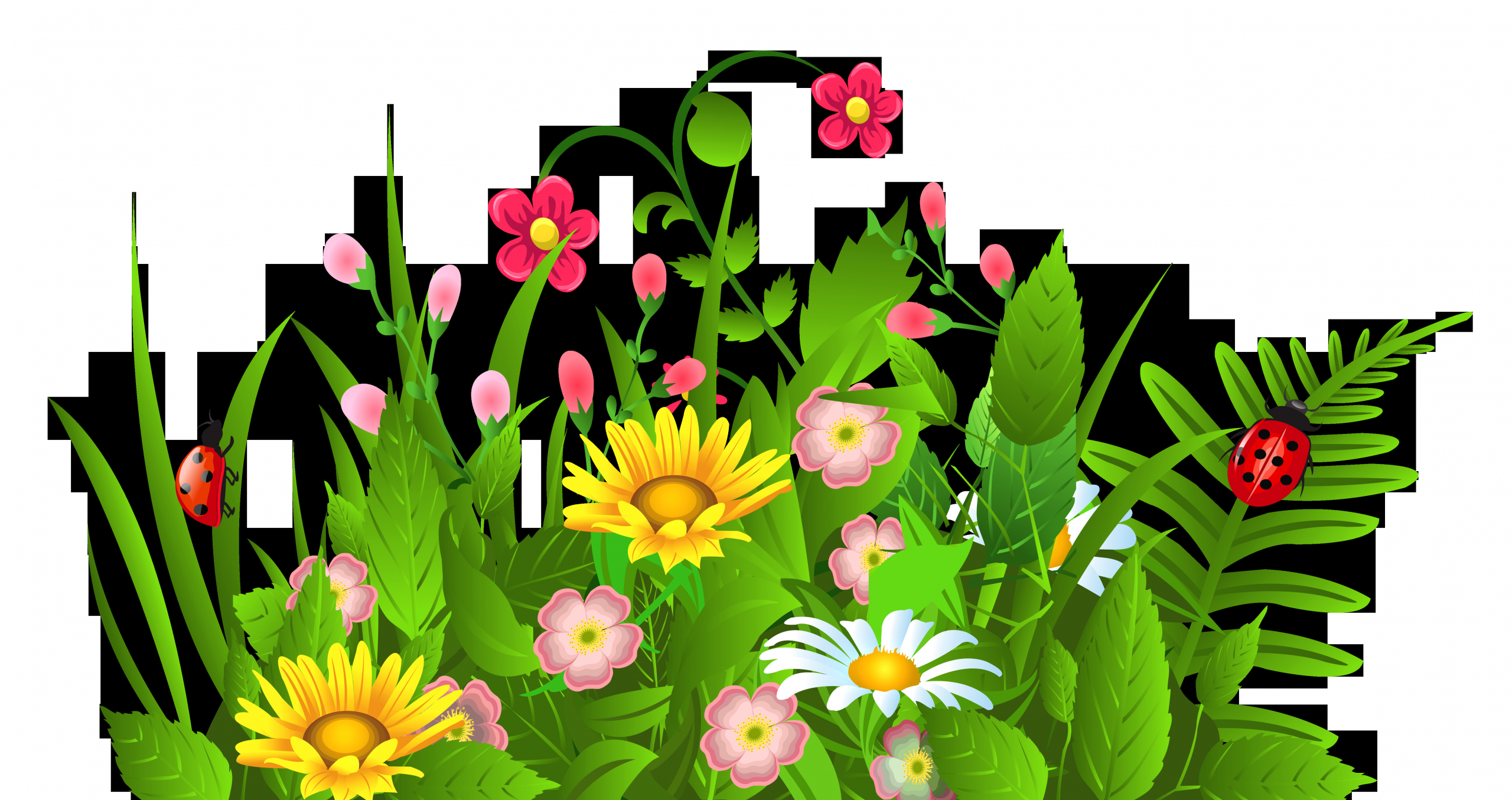 Clip Art Photos Fresh Free Clipart Images Of Flowers Flower Clip Art Pictures Image 1 Clipartix