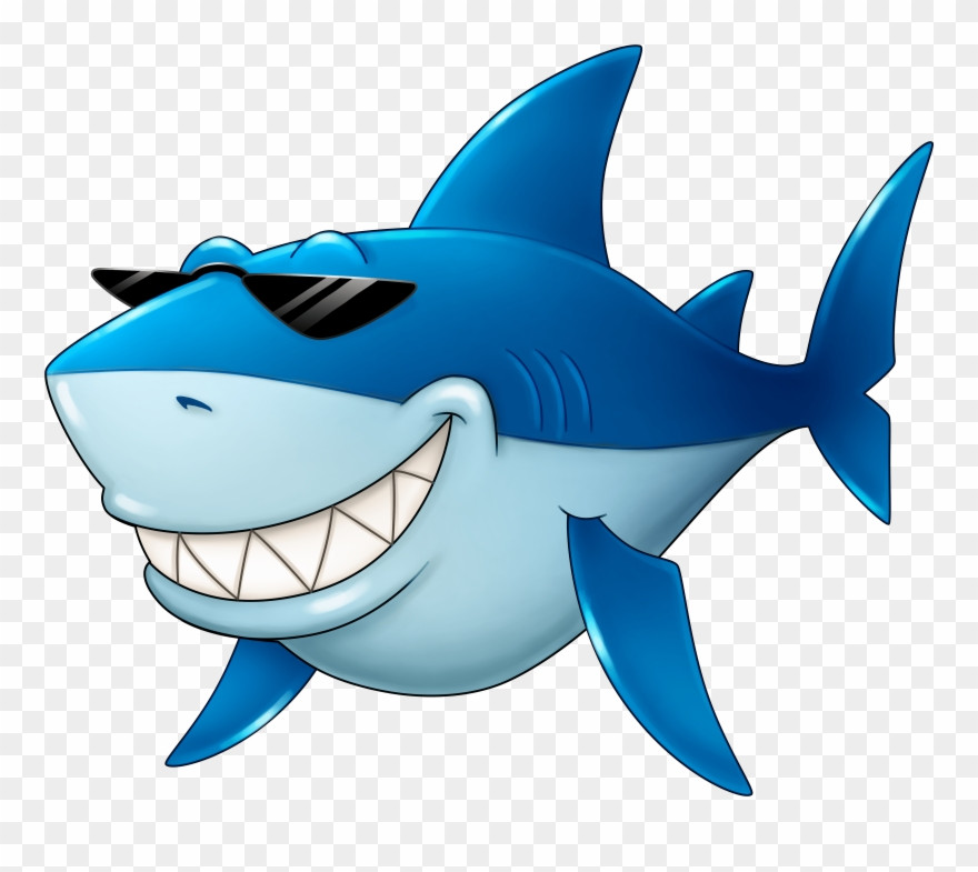 Clip Art Shark Lovely Shark Clip Art 10 Free Cliparts