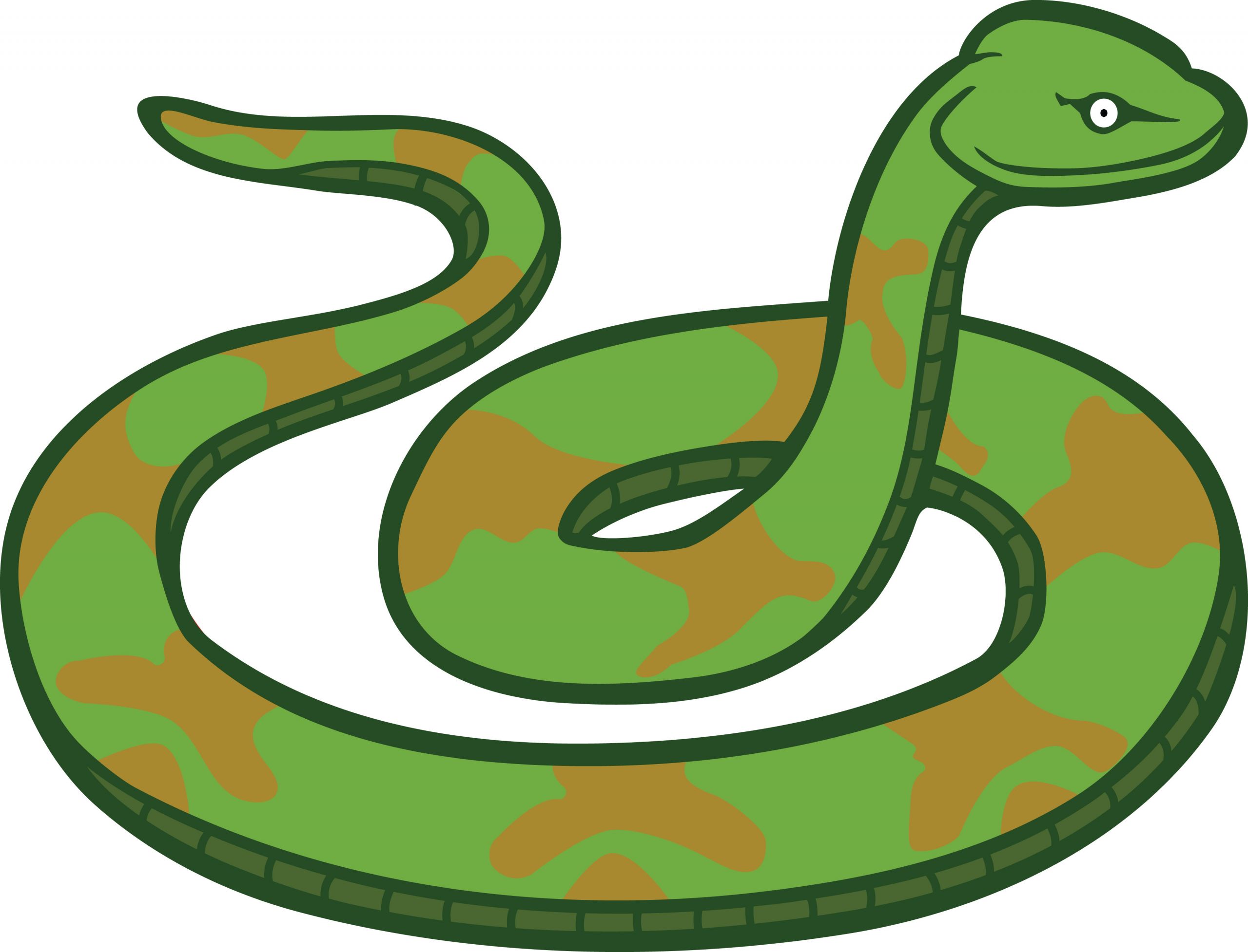 Clip Art Snake Elegant Free Clipart A Snake