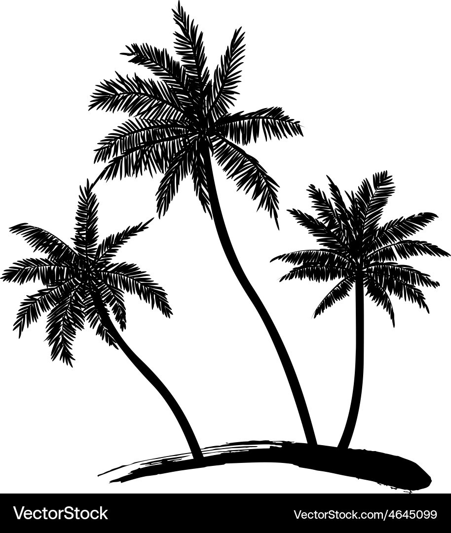 Coconut Tree Vector Images Awesome Coconut Tree Royalty Free Vector Image Vectorstock