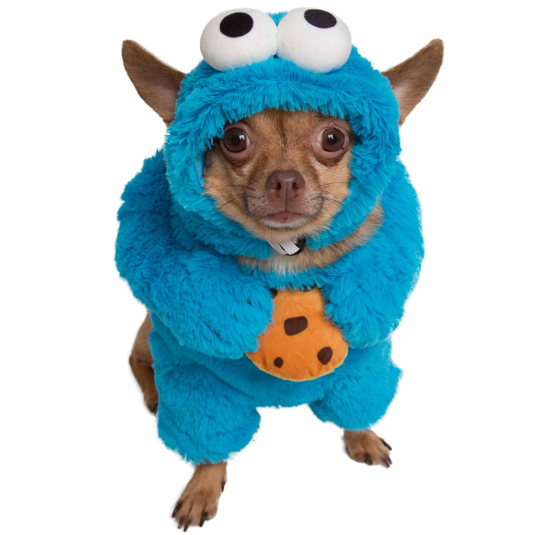 Cookie Monster Dog Costume Fresh Pet Krewe Sesame Street Cookie Monster Dog Costume