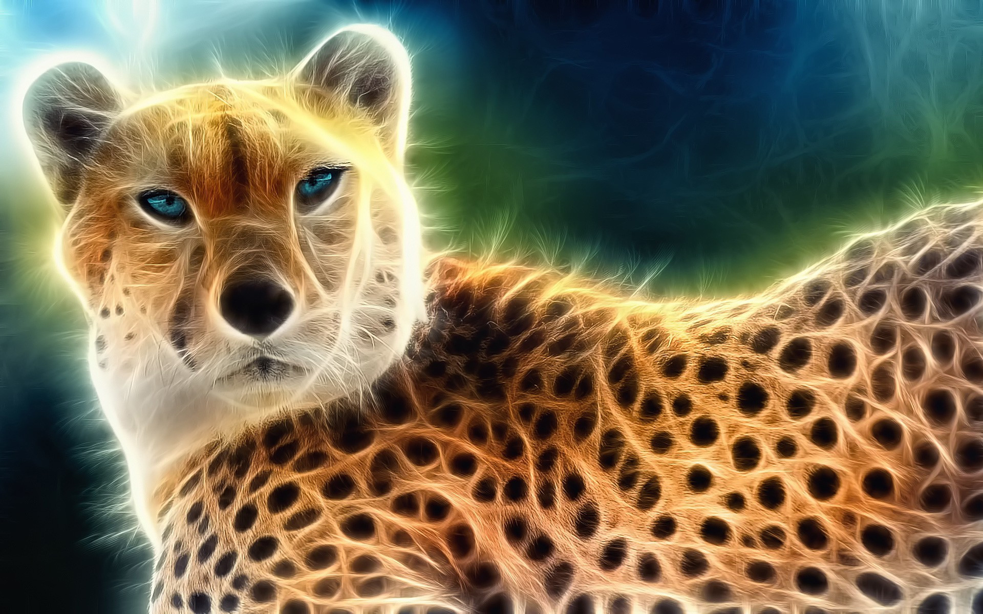 Cool Animal Wallpapers Elegant Cool Animal Backgrounds 66 Images